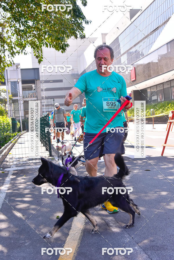 Buy your photos of the event2 Pet Run Shopping Eldorado  on Fotop