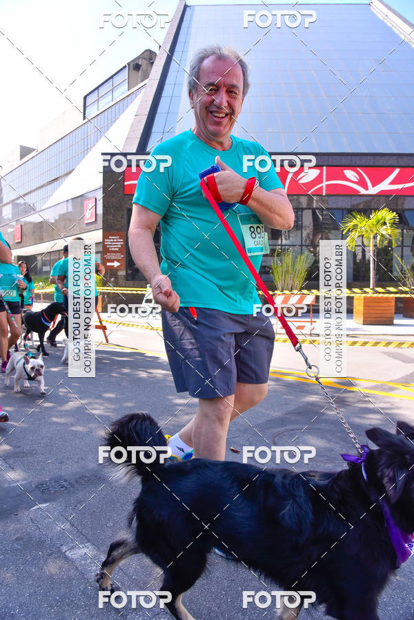 Buy your photos of the event2 Pet Run Shopping Eldorado  on Fotop