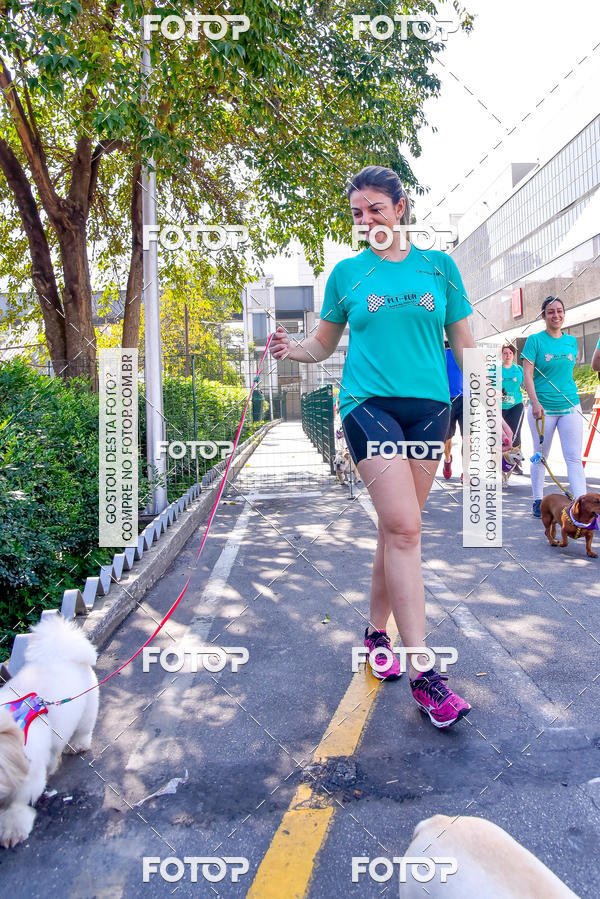 Buy your photos of the event2 Pet Run Shopping Eldorado  on Fotop