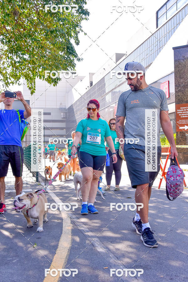 Buy your photos of the event2 Pet Run Shopping Eldorado  on Fotop