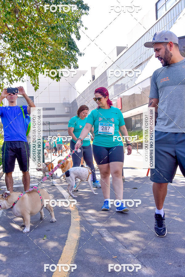Buy your photos of the event2 Pet Run Shopping Eldorado  on Fotop