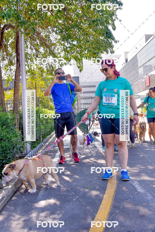 Buy your photos of the event2 Pet Run Shopping Eldorado  on Fotop