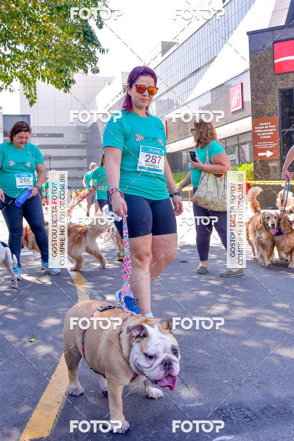 Buy your photos of the event2 Pet Run Shopping Eldorado  on Fotop