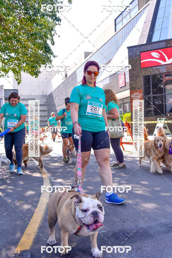 Buy your photos of the event2 Pet Run Shopping Eldorado  on Fotop