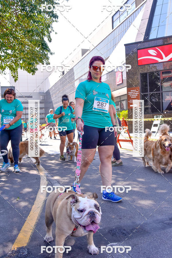 Buy your photos of the event2 Pet Run Shopping Eldorado  on Fotop