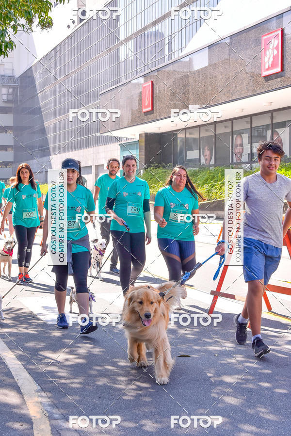 Buy your photos of the event2 Pet Run Shopping Eldorado  on Fotop