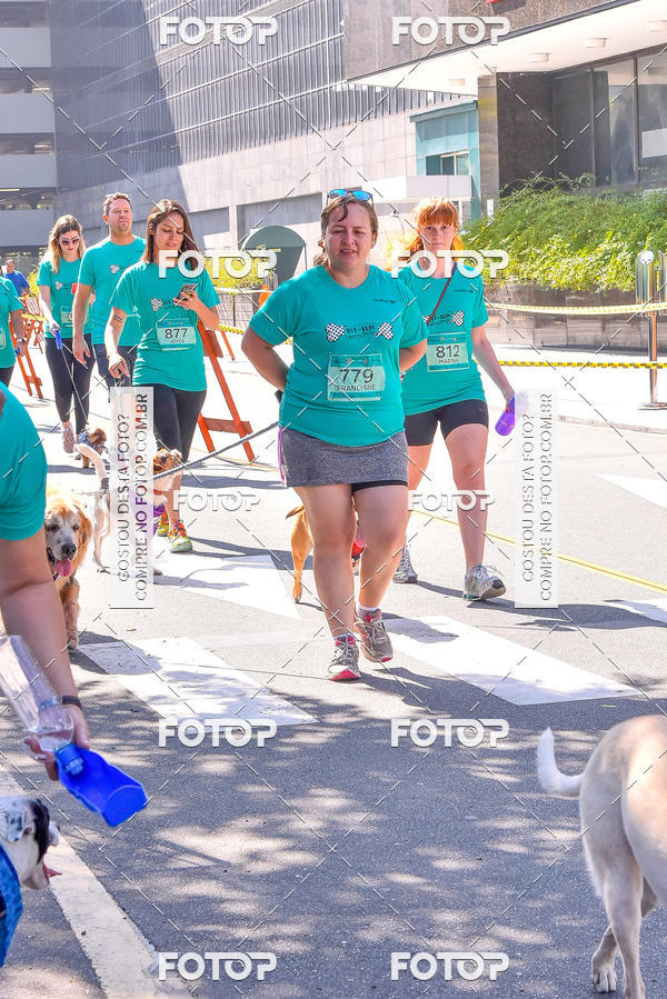 Buy your photos of the event2 Pet Run Shopping Eldorado  on Fotop