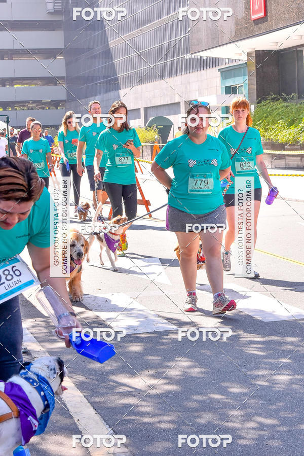 Buy your photos of the event2 Pet Run Shopping Eldorado  on Fotop