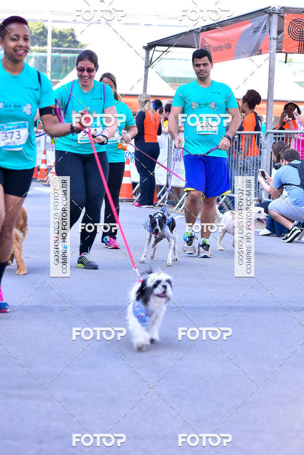 Buy your photos of the event2 Pet Run Shopping Eldorado  on Fotop