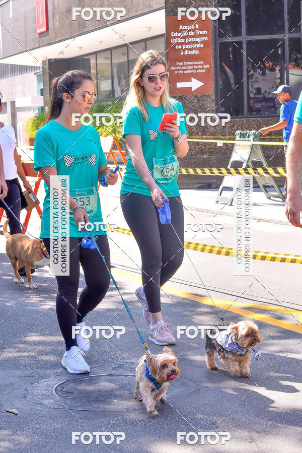 Buy your photos of the event2 Pet Run Shopping Eldorado  on Fotop