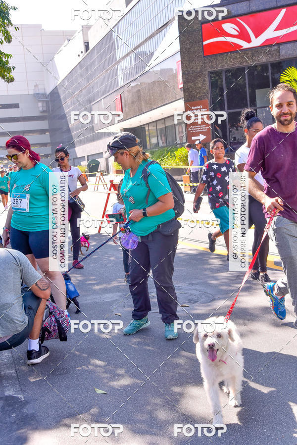 Buy your photos of the event2 Pet Run Shopping Eldorado  on Fotop