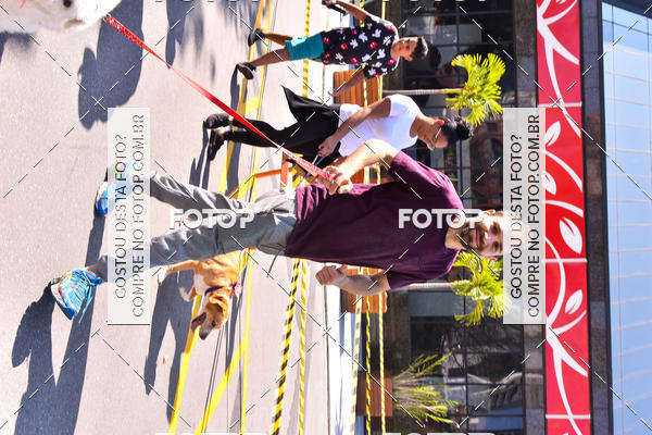 Buy your photos of the event2 Pet Run Shopping Eldorado  on Fotop