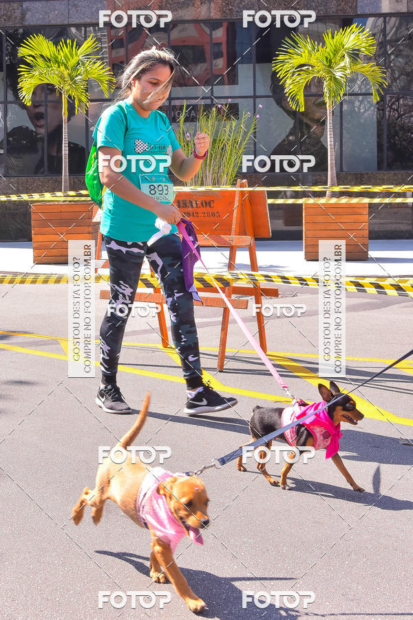 Buy your photos of the event2 Pet Run Shopping Eldorado  on Fotop