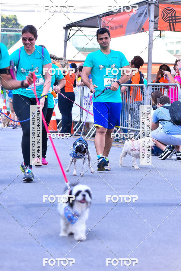 Buy your photos of the event2 Pet Run Shopping Eldorado  on Fotop