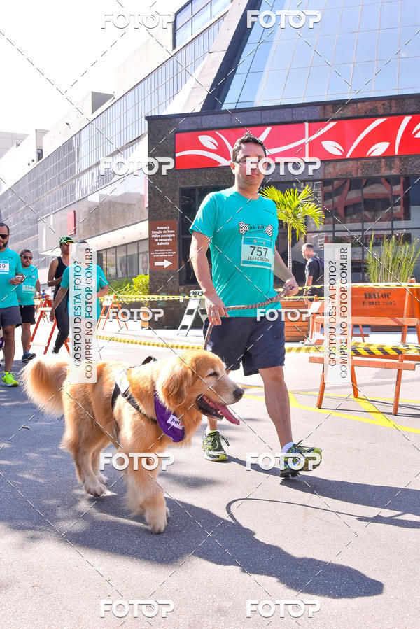 Buy your photos of the event2 Pet Run Shopping Eldorado  on Fotop