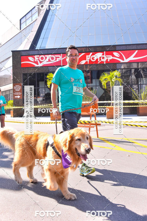 Buy your photos of the event2 Pet Run Shopping Eldorado  on Fotop