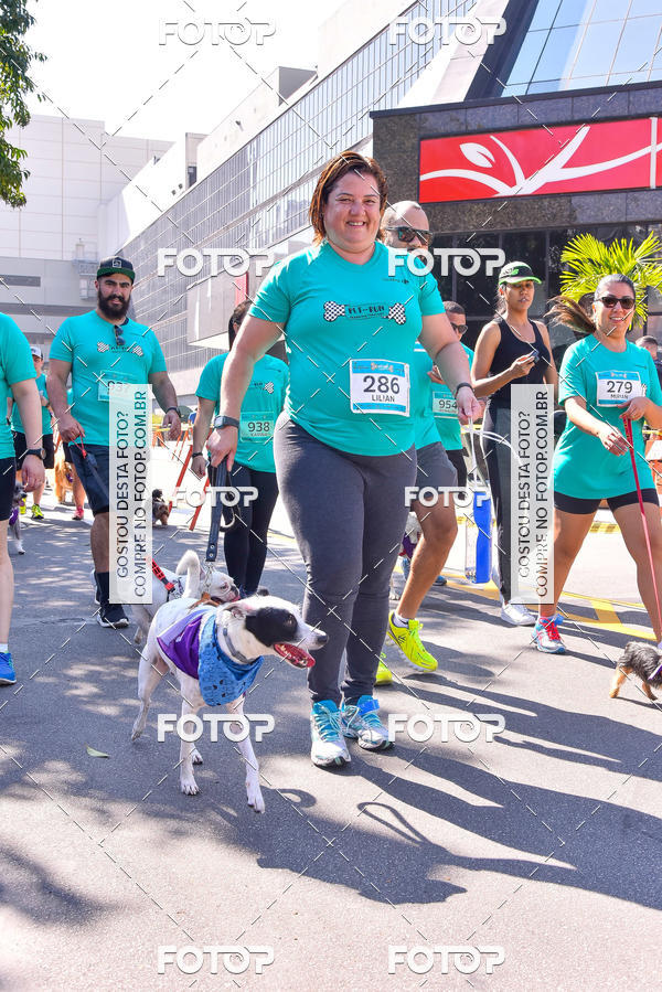 Buy your photos of the event2 Pet Run Shopping Eldorado  on Fotop
