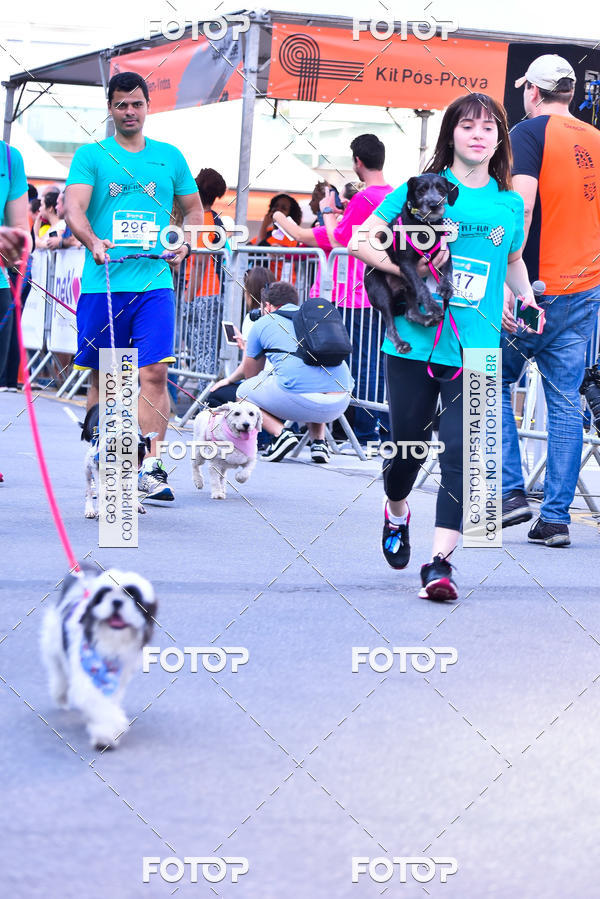 Buy your photos of the event2 Pet Run Shopping Eldorado  on Fotop
