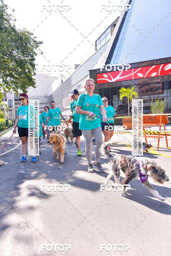 Buy your photos of the event2 Pet Run Shopping Eldorado  on Fotop