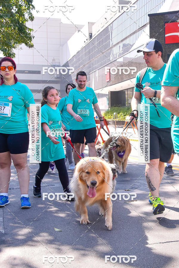 Buy your photos of the event2 Pet Run Shopping Eldorado  on Fotop