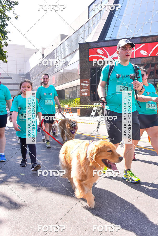 Buy your photos of the event2 Pet Run Shopping Eldorado  on Fotop