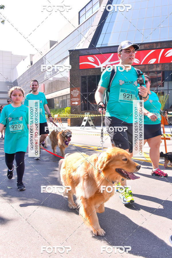 Buy your photos of the event2 Pet Run Shopping Eldorado  on Fotop