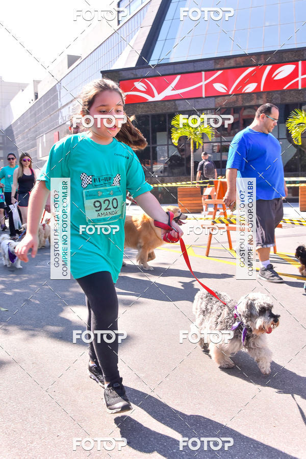 Buy your photos of the event2 Pet Run Shopping Eldorado  on Fotop