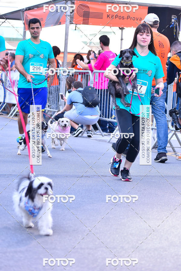 Buy your photos of the event2 Pet Run Shopping Eldorado  on Fotop