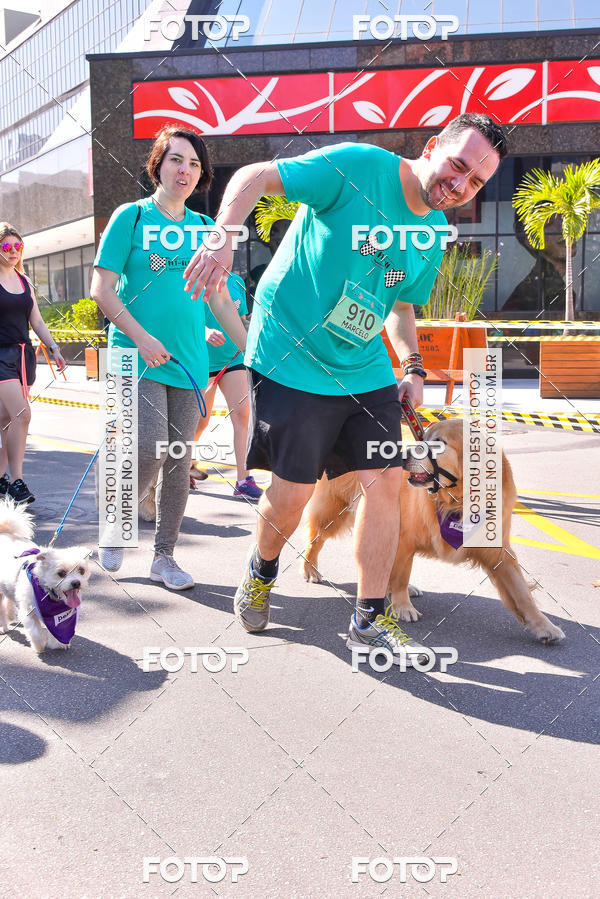 Buy your photos of the event2 Pet Run Shopping Eldorado  on Fotop