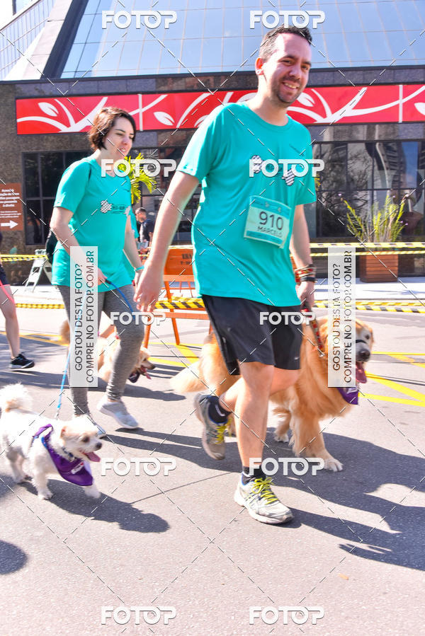 Buy your photos of the event2 Pet Run Shopping Eldorado  on Fotop