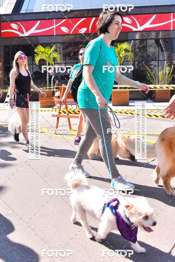 Buy your photos of the event2 Pet Run Shopping Eldorado  on Fotop