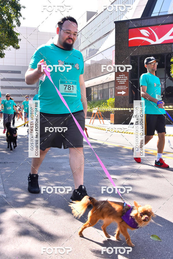 Buy your photos of the event2 Pet Run Shopping Eldorado  on Fotop