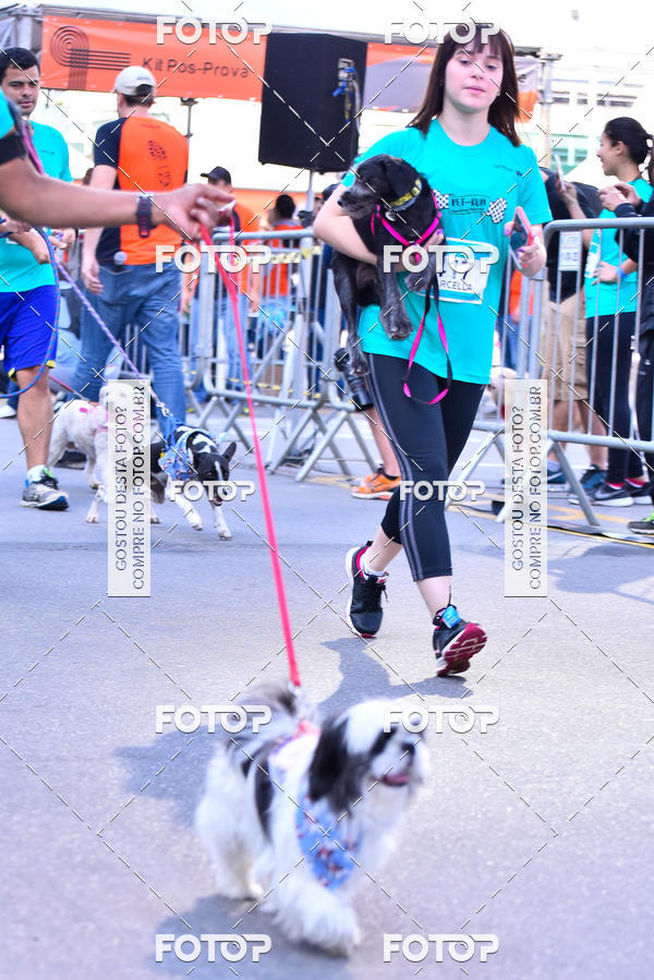 Buy your photos of the event2 Pet Run Shopping Eldorado  on Fotop