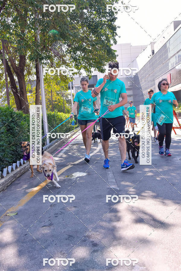 Buy your photos of the event2 Pet Run Shopping Eldorado  on Fotop