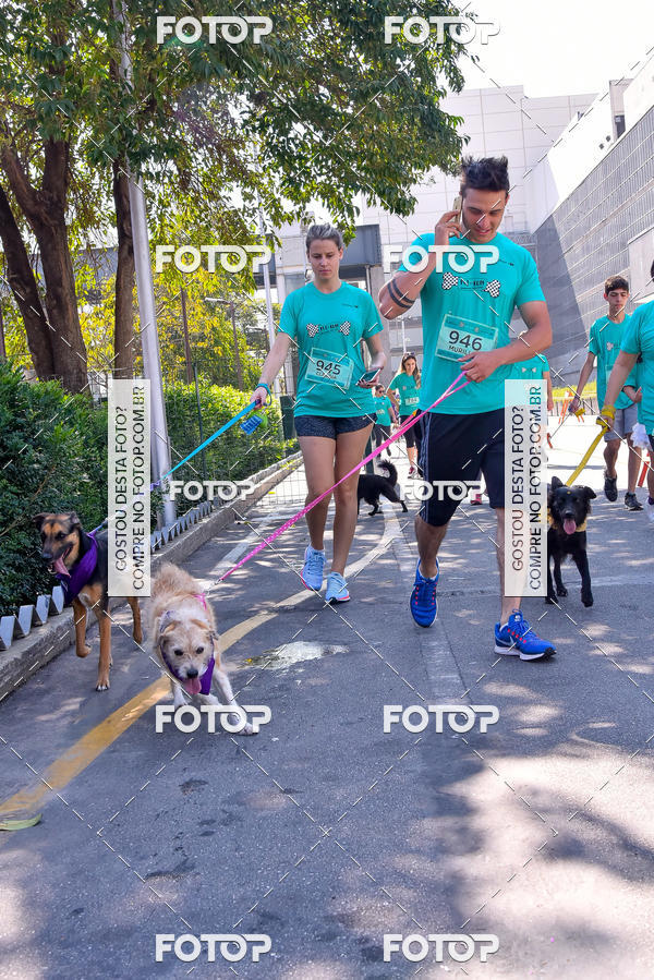 Buy your photos of the event2 Pet Run Shopping Eldorado  on Fotop