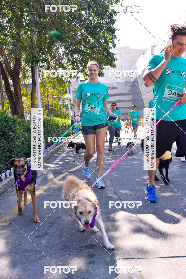 Buy your photos of the event2 Pet Run Shopping Eldorado  on Fotop