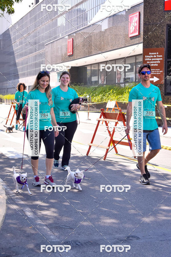 Buy your photos of the event2 Pet Run Shopping Eldorado  on Fotop