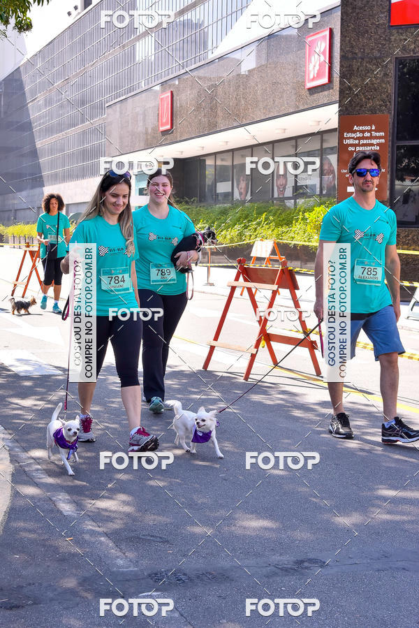Buy your photos of the event2 Pet Run Shopping Eldorado  on Fotop