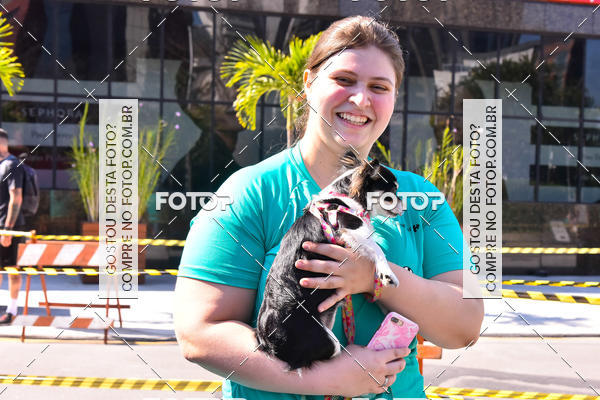 Buy your photos of the event2 Pet Run Shopping Eldorado  on Fotop