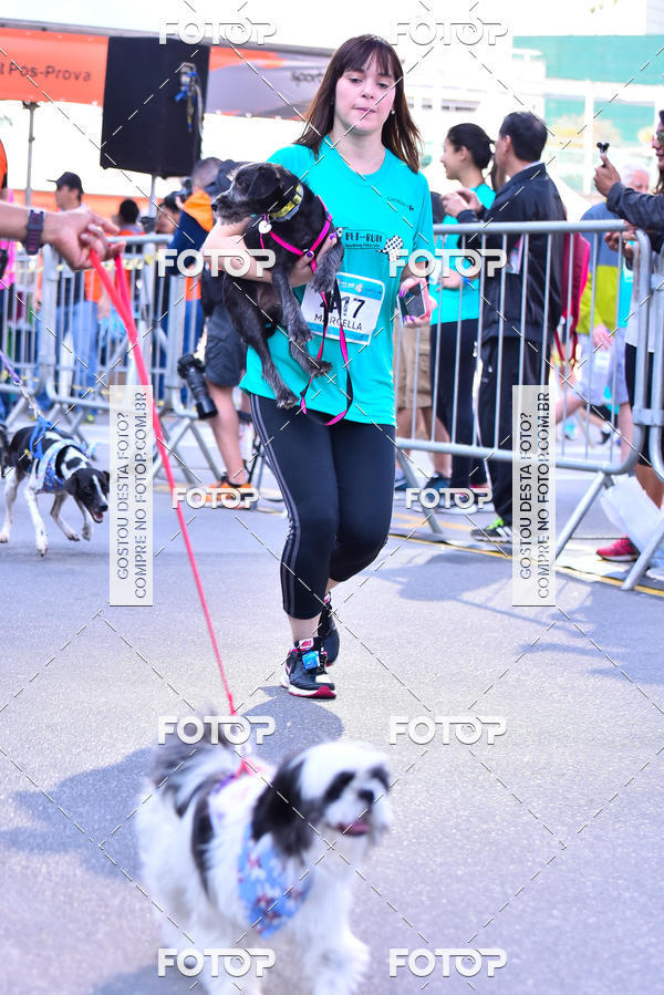Buy your photos of the event2 Pet Run Shopping Eldorado  on Fotop