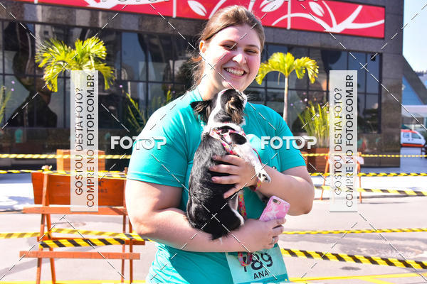 Buy your photos of the event2 Pet Run Shopping Eldorado  on Fotop