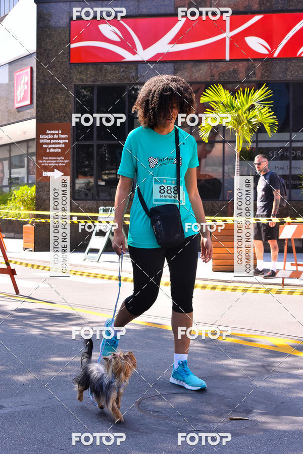 Buy your photos of the event2 Pet Run Shopping Eldorado  on Fotop