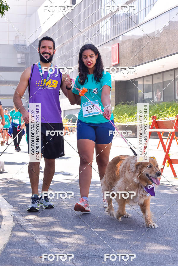 Buy your photos of the event2 Pet Run Shopping Eldorado  on Fotop
