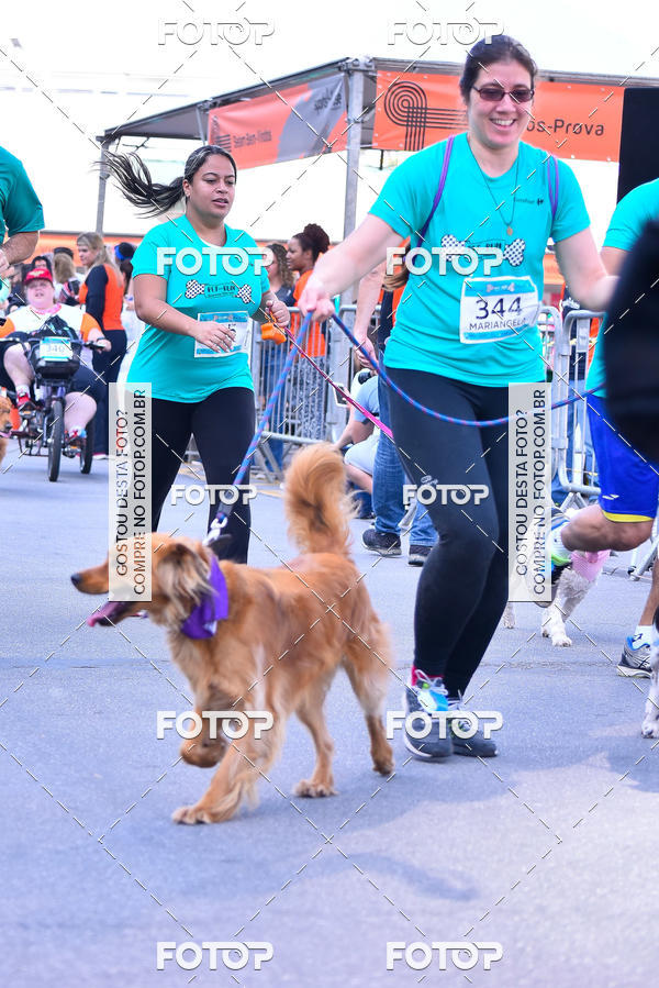 Buy your photos of the event2 Pet Run Shopping Eldorado  on Fotop
