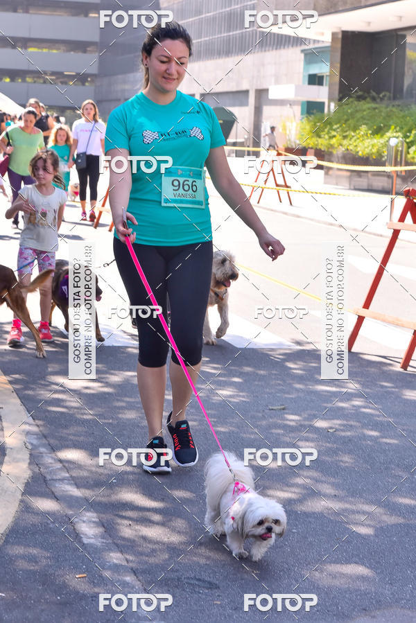 Buy your photos of the event2 Pet Run Shopping Eldorado  on Fotop