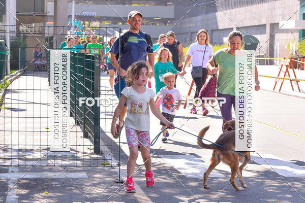 Buy your photos of the event2 Pet Run Shopping Eldorado  on Fotop