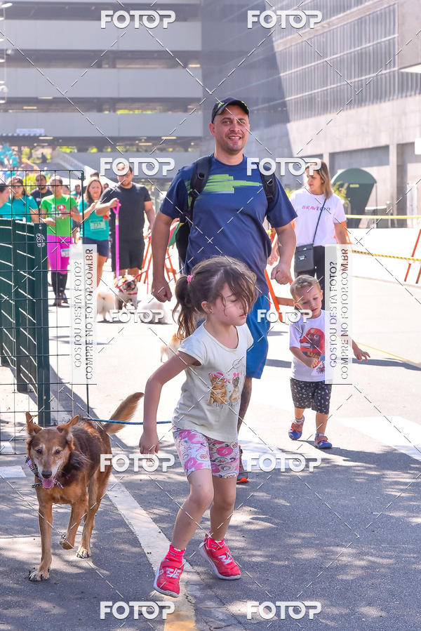 Buy your photos of the event2 Pet Run Shopping Eldorado  on Fotop