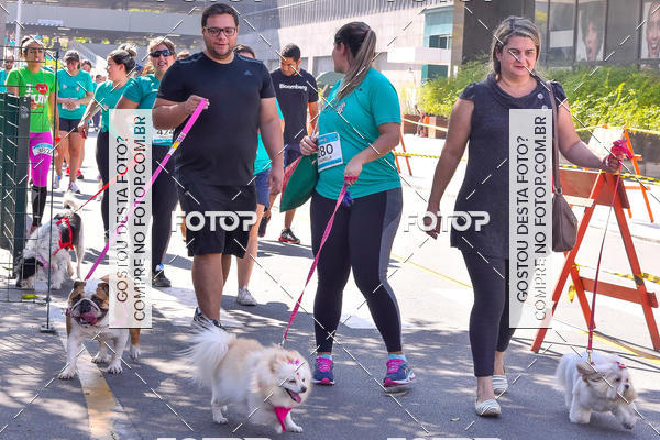Buy your photos of the event2 Pet Run Shopping Eldorado  on Fotop