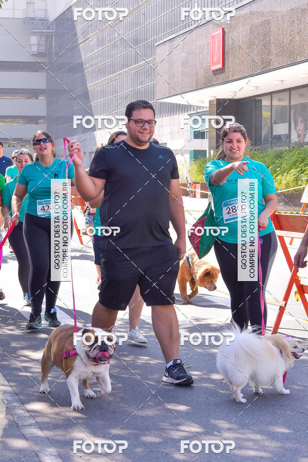 Buy your photos of the event2 Pet Run Shopping Eldorado  on Fotop