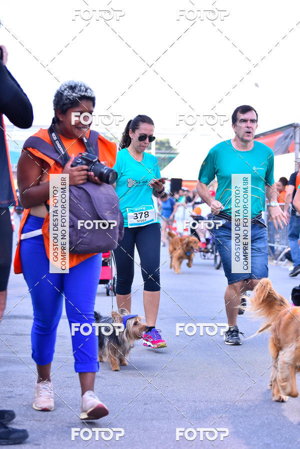 Buy your photos of the event2 Pet Run Shopping Eldorado  on Fotop
